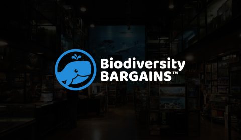 Biodiversity Bargains logo